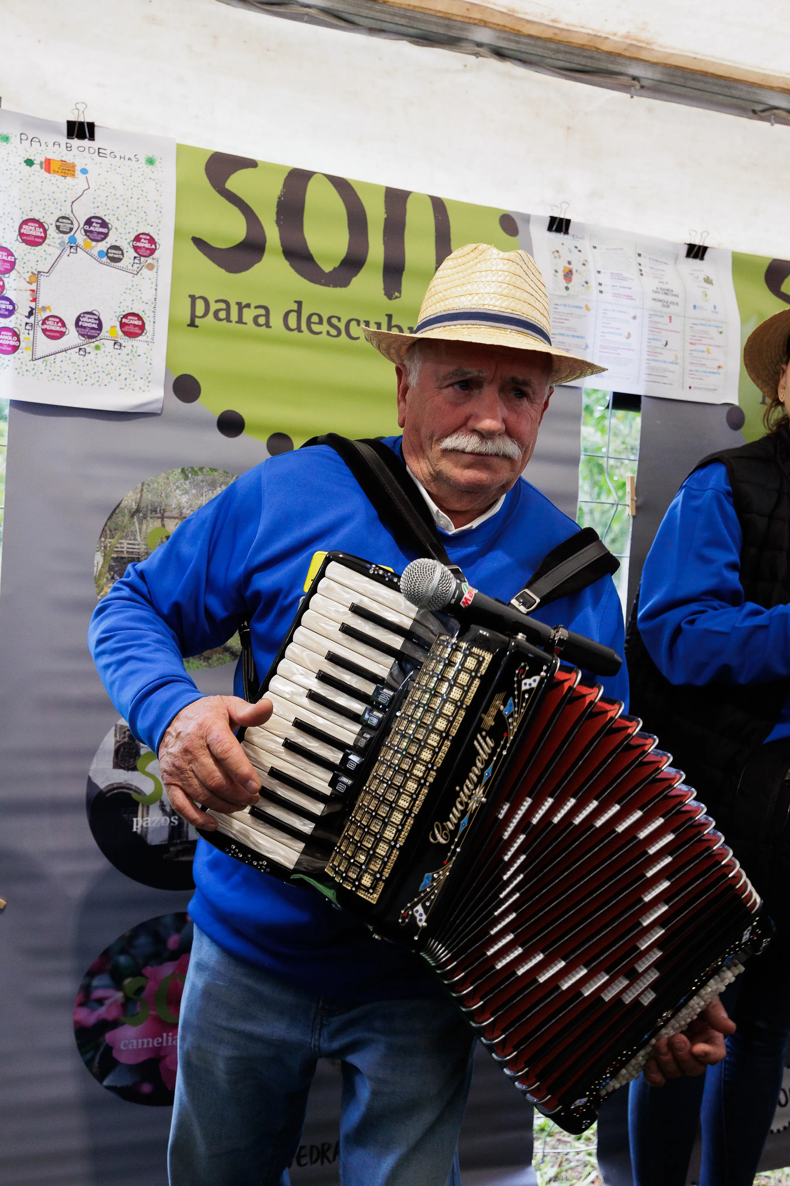 Acordeon